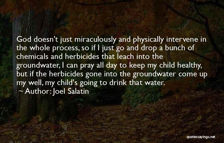 Joel Salatin Quotes: God Doesn't Just Miraculously And Physically Intervene In The Whole Process, So If I Just Go And Drop A Bunch