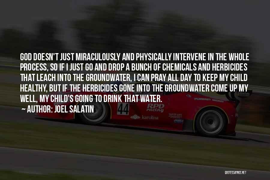 Joel Salatin Quotes: God Doesn't Just Miraculously And Physically Intervene In The Whole Process, So If I Just Go And Drop A Bunch