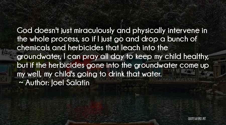 Joel Salatin Quotes: God Doesn't Just Miraculously And Physically Intervene In The Whole Process, So If I Just Go And Drop A Bunch