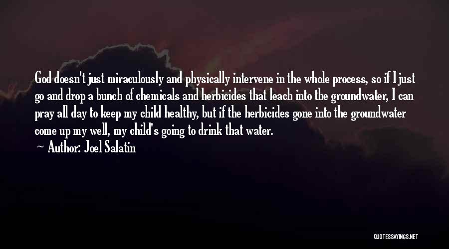 Joel Salatin Quotes: God Doesn't Just Miraculously And Physically Intervene In The Whole Process, So If I Just Go And Drop A Bunch