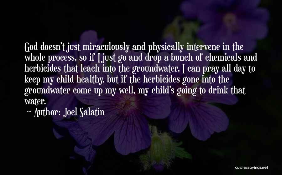 Joel Salatin Quotes: God Doesn't Just Miraculously And Physically Intervene In The Whole Process, So If I Just Go And Drop A Bunch