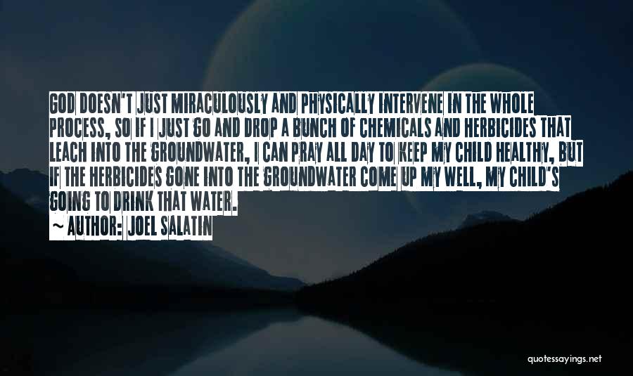 Joel Salatin Quotes: God Doesn't Just Miraculously And Physically Intervene In The Whole Process, So If I Just Go And Drop A Bunch