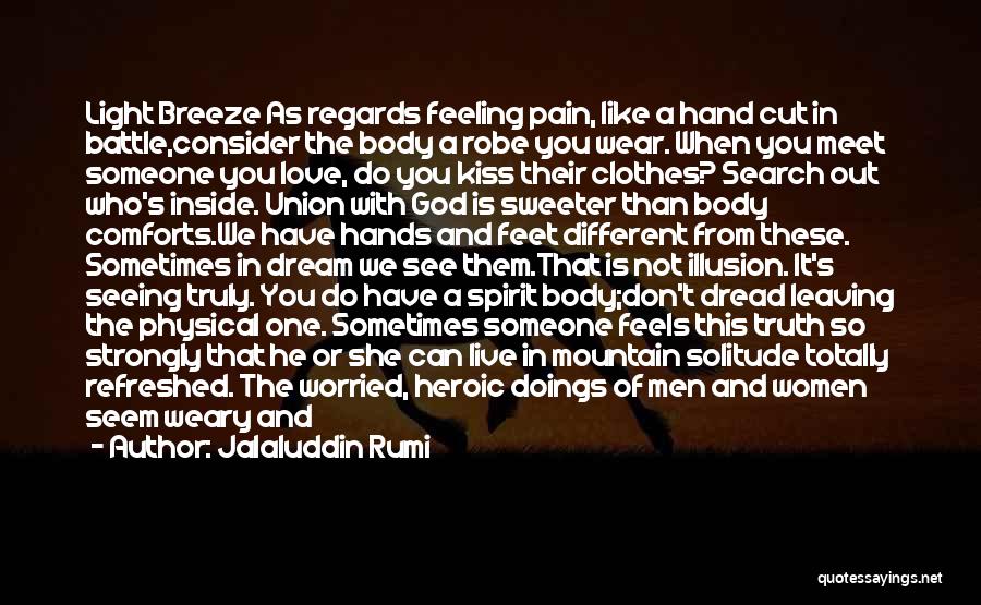 Jalaluddin Rumi Quotes: Light Breeze As Regards Feeling Pain, Like A Hand Cut In Battle,consider The Body A Robe You Wear. When You