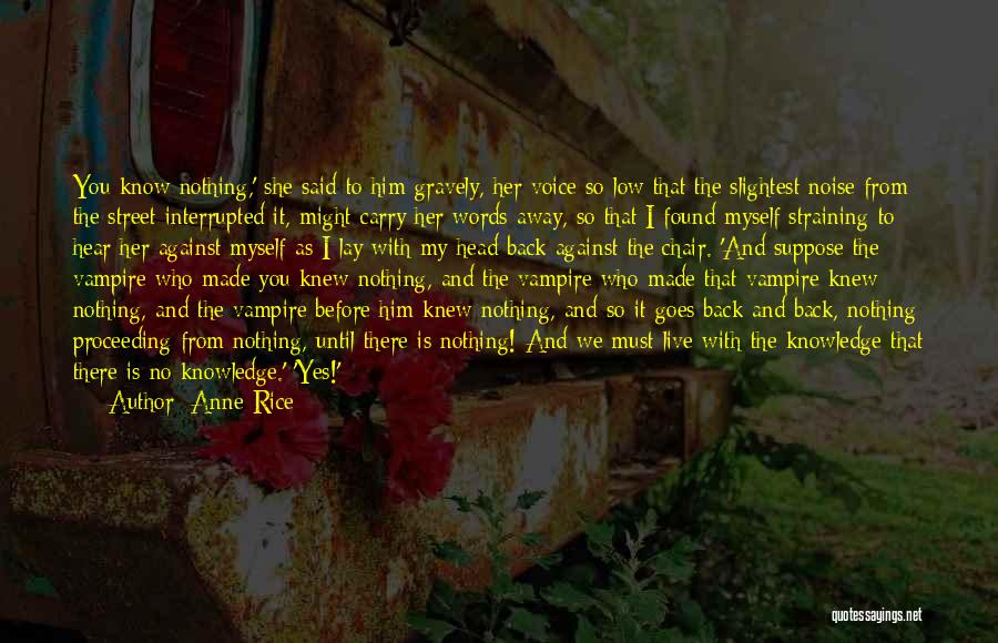 Anne Rice Quotes: You Know Nothing,' She Said To Him Gravely, Her Voice So Low That The Slightest Noise From The Street Interrupted