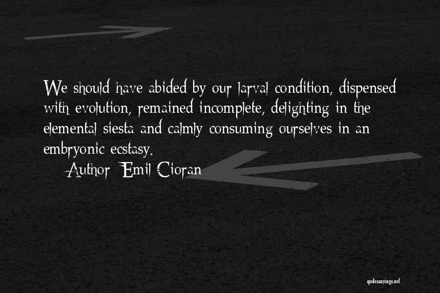 Emil Cioran Quotes: We Should Have Abided By Our Larval Condition, Dispensed With Evolution, Remained Incomplete, Delighting In The Elemental Siesta And Calmly