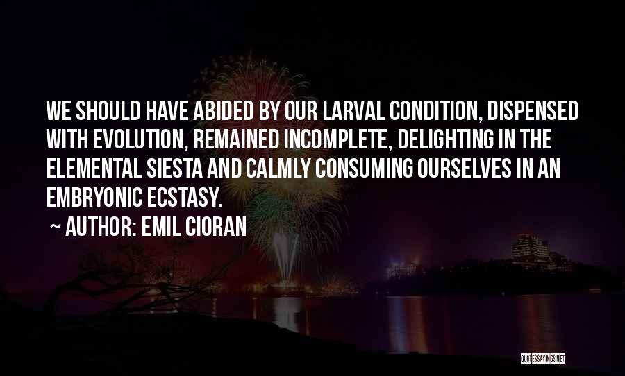 Emil Cioran Quotes: We Should Have Abided By Our Larval Condition, Dispensed With Evolution, Remained Incomplete, Delighting In The Elemental Siesta And Calmly