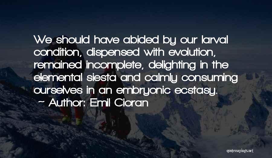 Emil Cioran Quotes: We Should Have Abided By Our Larval Condition, Dispensed With Evolution, Remained Incomplete, Delighting In The Elemental Siesta And Calmly