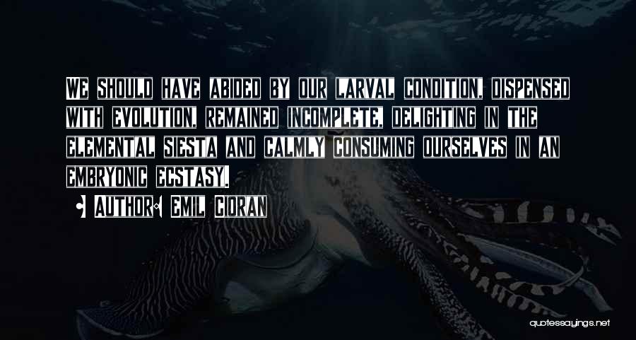 Emil Cioran Quotes: We Should Have Abided By Our Larval Condition, Dispensed With Evolution, Remained Incomplete, Delighting In The Elemental Siesta And Calmly
