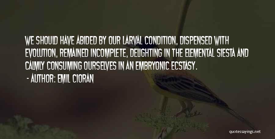 Emil Cioran Quotes: We Should Have Abided By Our Larval Condition, Dispensed With Evolution, Remained Incomplete, Delighting In The Elemental Siesta And Calmly