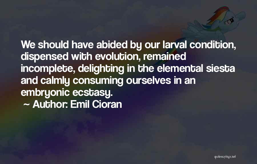 Emil Cioran Quotes: We Should Have Abided By Our Larval Condition, Dispensed With Evolution, Remained Incomplete, Delighting In The Elemental Siesta And Calmly