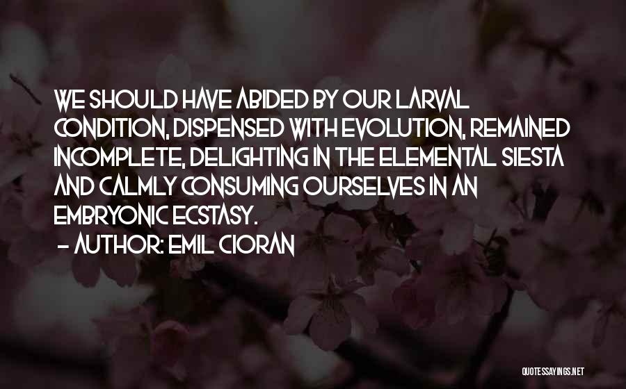 Emil Cioran Quotes: We Should Have Abided By Our Larval Condition, Dispensed With Evolution, Remained Incomplete, Delighting In The Elemental Siesta And Calmly