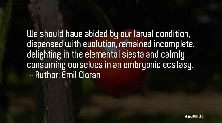 Emil Cioran Quotes: We Should Have Abided By Our Larval Condition, Dispensed With Evolution, Remained Incomplete, Delighting In The Elemental Siesta And Calmly