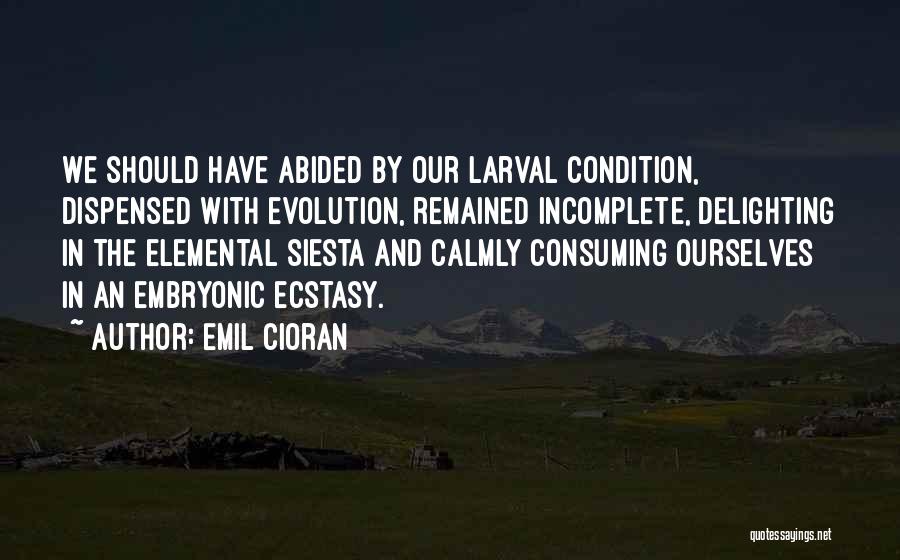 Emil Cioran Quotes: We Should Have Abided By Our Larval Condition, Dispensed With Evolution, Remained Incomplete, Delighting In The Elemental Siesta And Calmly