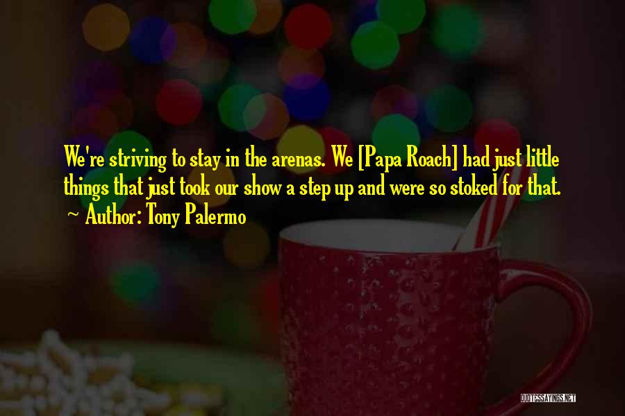 Tony Palermo Quotes: We're Striving To Stay In The Arenas. We [papa Roach] Had Just Little Things That Just Took Our Show A