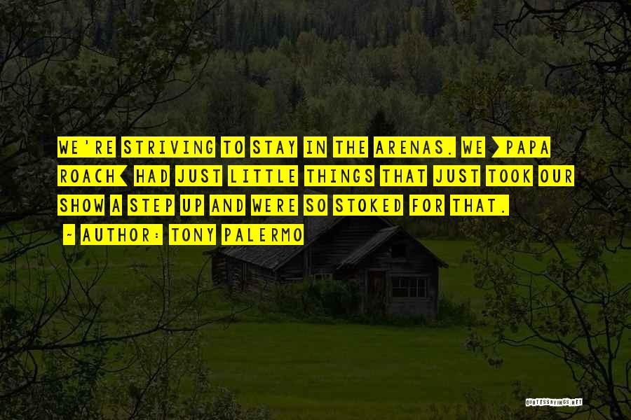 Tony Palermo Quotes: We're Striving To Stay In The Arenas. We [papa Roach] Had Just Little Things That Just Took Our Show A