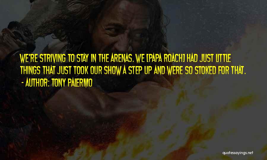 Tony Palermo Quotes: We're Striving To Stay In The Arenas. We [papa Roach] Had Just Little Things That Just Took Our Show A