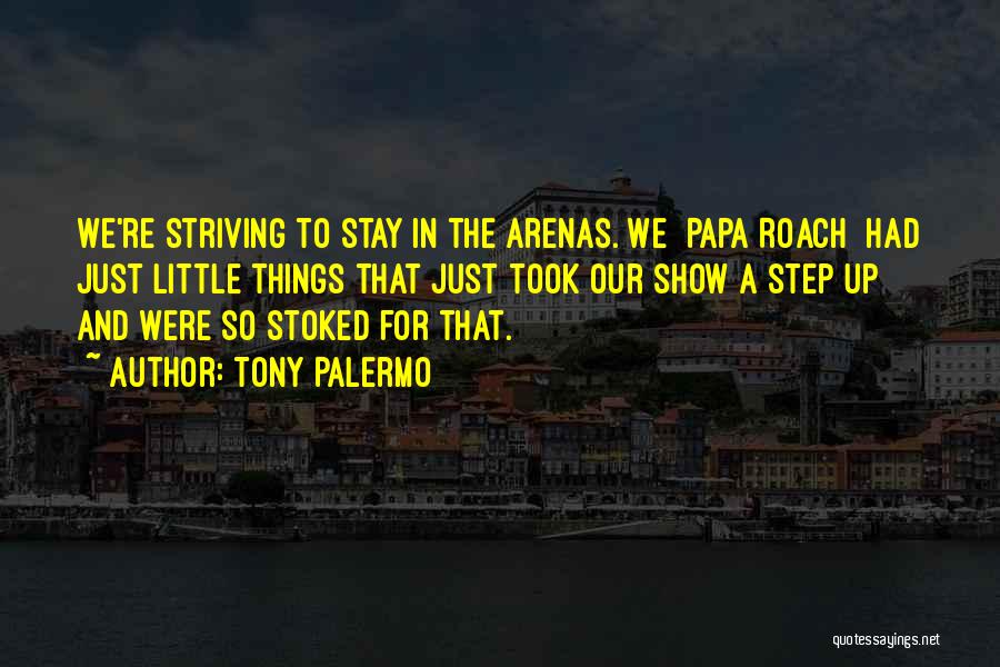 Tony Palermo Quotes: We're Striving To Stay In The Arenas. We [papa Roach] Had Just Little Things That Just Took Our Show A