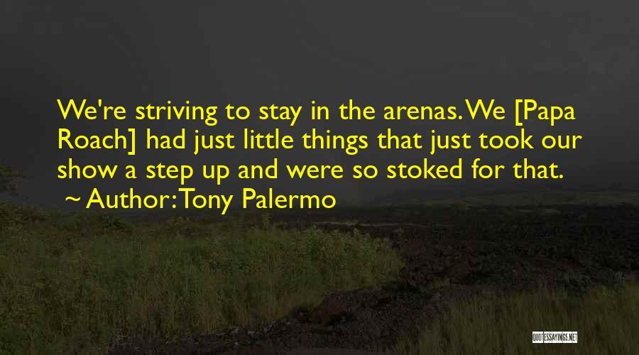 Tony Palermo Quotes: We're Striving To Stay In The Arenas. We [papa Roach] Had Just Little Things That Just Took Our Show A
