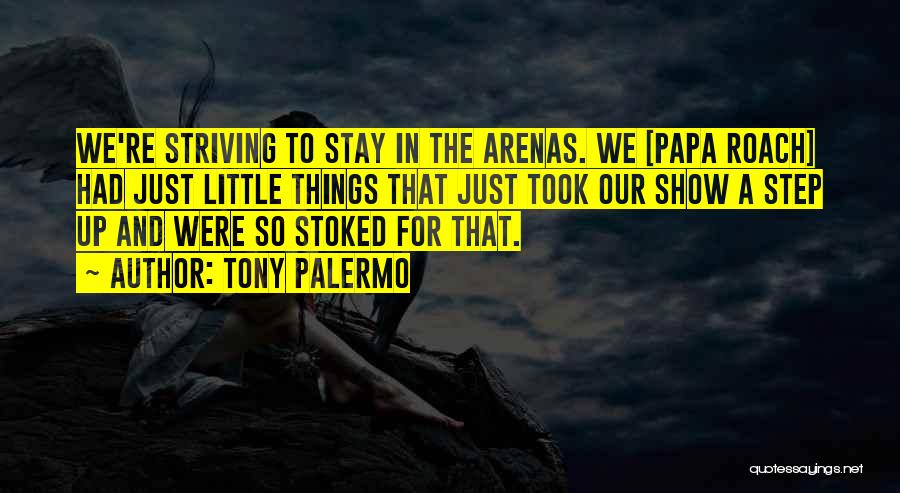 Tony Palermo Quotes: We're Striving To Stay In The Arenas. We [papa Roach] Had Just Little Things That Just Took Our Show A