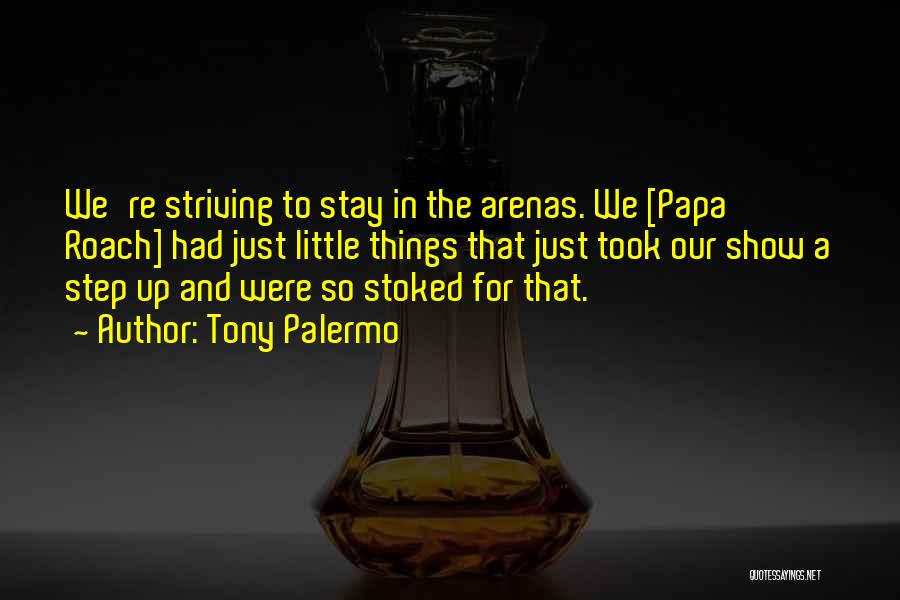 Tony Palermo Quotes: We're Striving To Stay In The Arenas. We [papa Roach] Had Just Little Things That Just Took Our Show A