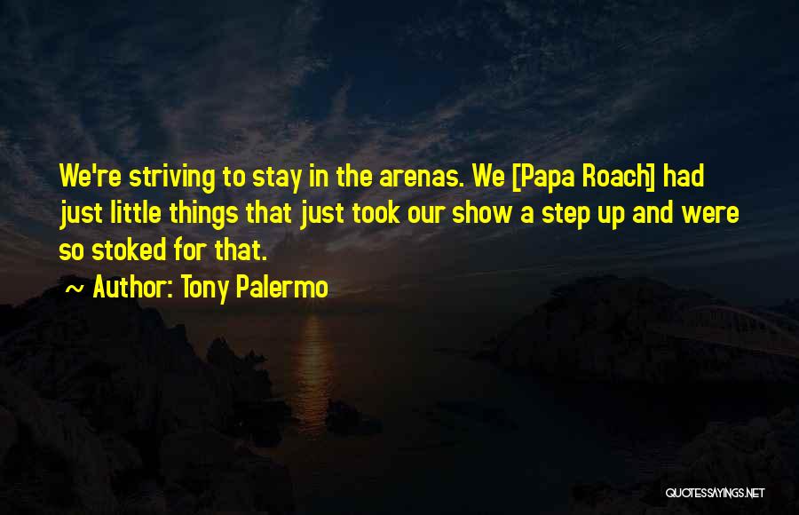 Tony Palermo Quotes: We're Striving To Stay In The Arenas. We [papa Roach] Had Just Little Things That Just Took Our Show A