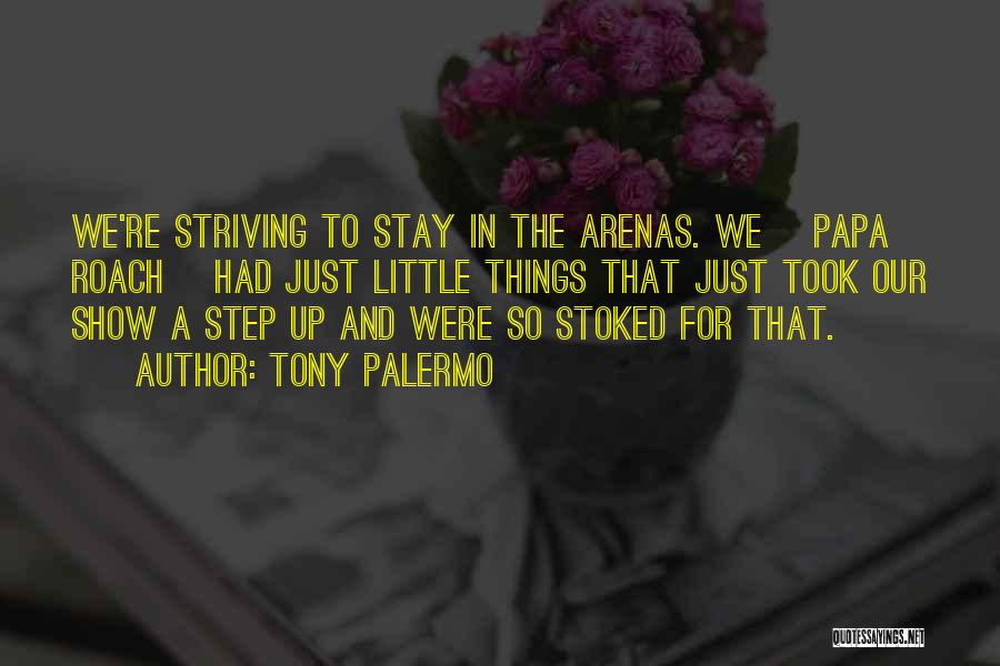 Tony Palermo Quotes: We're Striving To Stay In The Arenas. We [papa Roach] Had Just Little Things That Just Took Our Show A