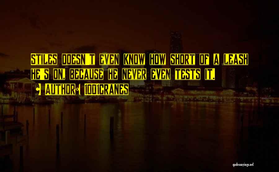 1001cranes Quotes: Stiles Doesn't Even Know How Short Of A Leash He's On, Because He Never Even Tests It.