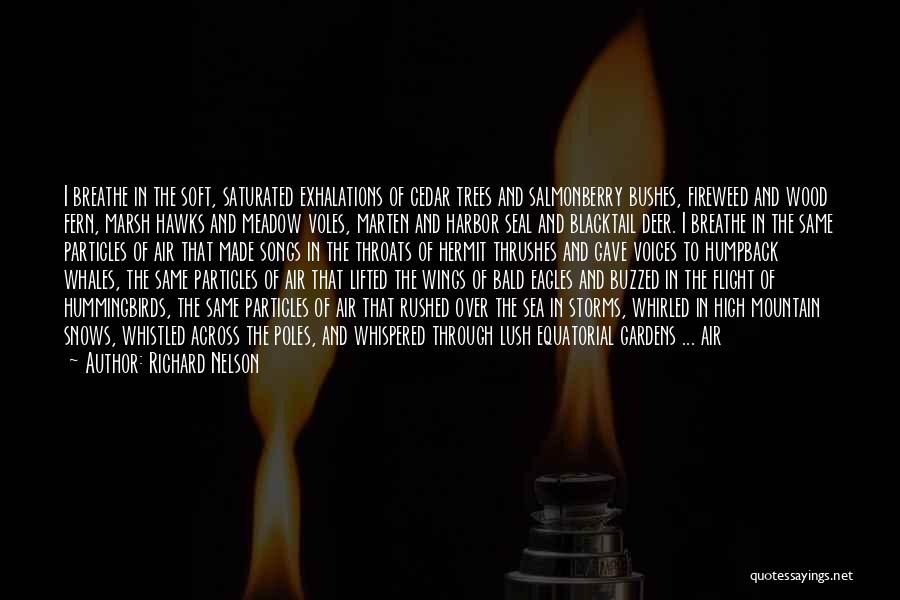 Richard Nelson Quotes: I Breathe In The Soft, Saturated Exhalations Of Cedar Trees And Salmonberry Bushes, Fireweed And Wood Fern, Marsh Hawks And