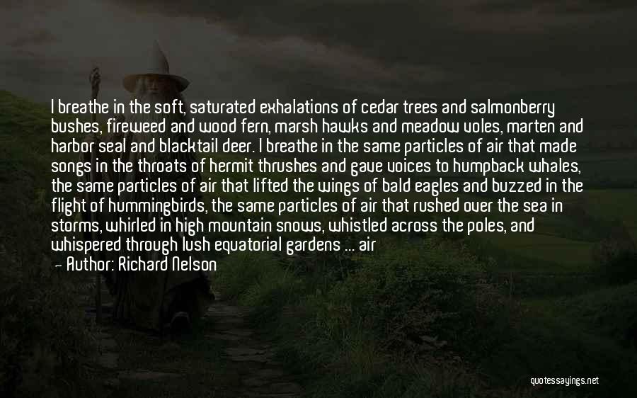 Richard Nelson Quotes: I Breathe In The Soft, Saturated Exhalations Of Cedar Trees And Salmonberry Bushes, Fireweed And Wood Fern, Marsh Hawks And