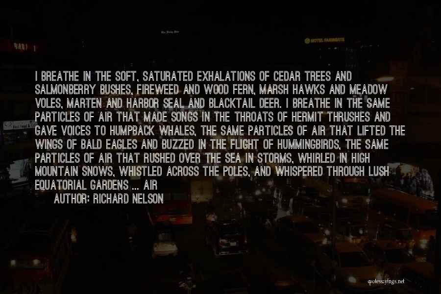 Richard Nelson Quotes: I Breathe In The Soft, Saturated Exhalations Of Cedar Trees And Salmonberry Bushes, Fireweed And Wood Fern, Marsh Hawks And