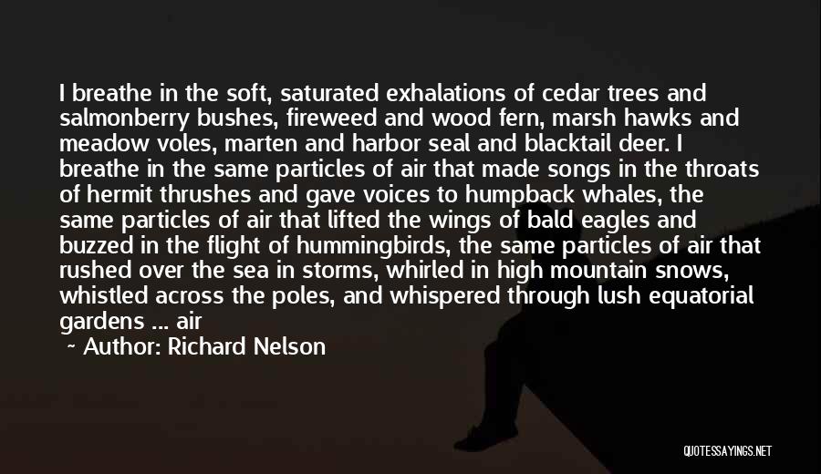 Richard Nelson Quotes: I Breathe In The Soft, Saturated Exhalations Of Cedar Trees And Salmonberry Bushes, Fireweed And Wood Fern, Marsh Hawks And