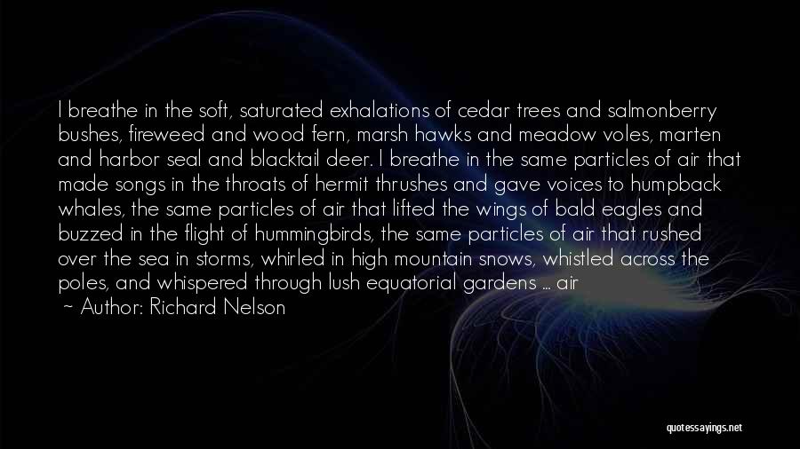 Richard Nelson Quotes: I Breathe In The Soft, Saturated Exhalations Of Cedar Trees And Salmonberry Bushes, Fireweed And Wood Fern, Marsh Hawks And