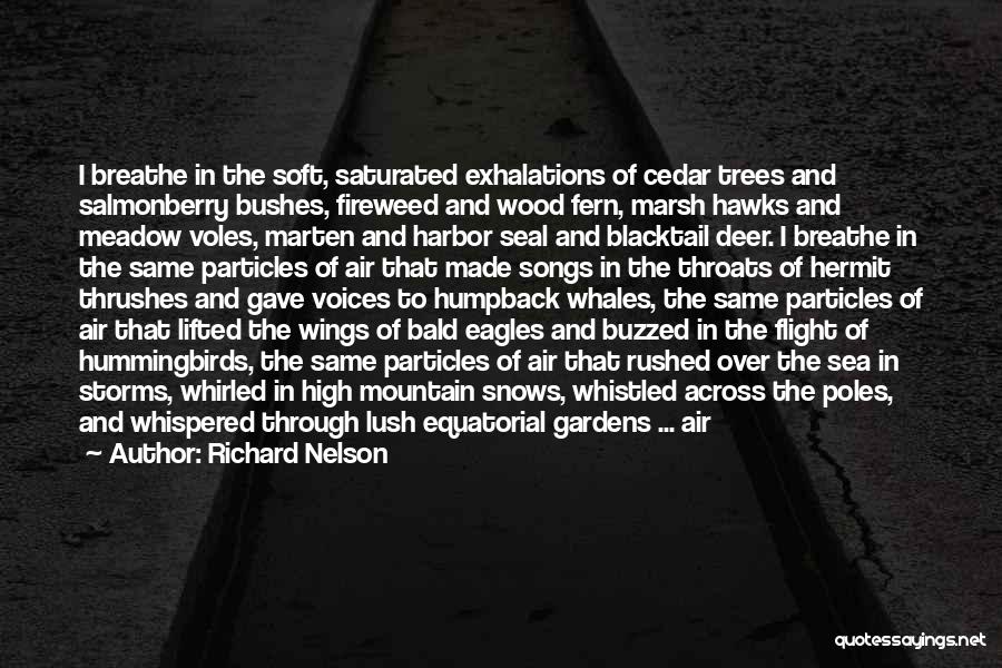 Richard Nelson Quotes: I Breathe In The Soft, Saturated Exhalations Of Cedar Trees And Salmonberry Bushes, Fireweed And Wood Fern, Marsh Hawks And