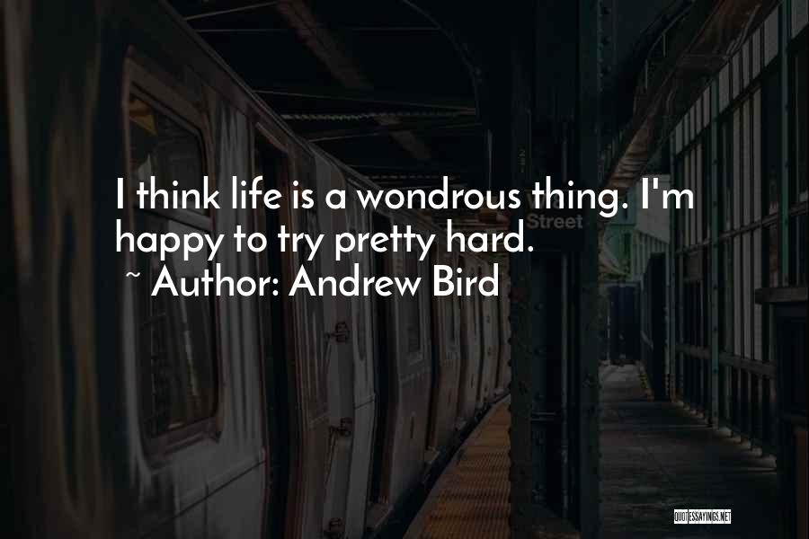 Andrew Bird Quotes: I Think Life Is A Wondrous Thing. I'm Happy To Try Pretty Hard.