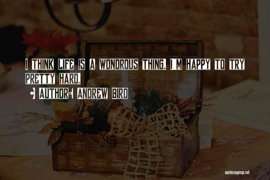 Andrew Bird Quotes: I Think Life Is A Wondrous Thing. I'm Happy To Try Pretty Hard.