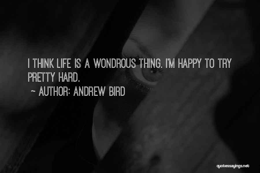 Andrew Bird Quotes: I Think Life Is A Wondrous Thing. I'm Happy To Try Pretty Hard.