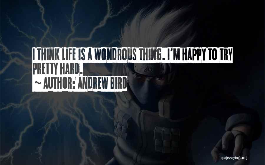 Andrew Bird Quotes: I Think Life Is A Wondrous Thing. I'm Happy To Try Pretty Hard.