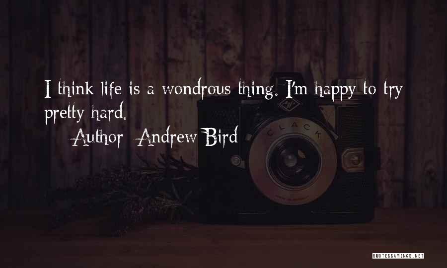 Andrew Bird Quotes: I Think Life Is A Wondrous Thing. I'm Happy To Try Pretty Hard.