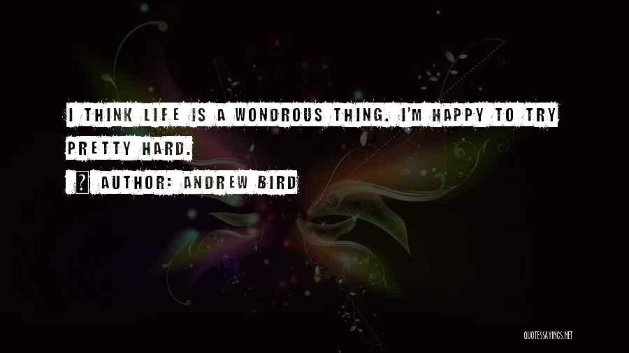 Andrew Bird Quotes: I Think Life Is A Wondrous Thing. I'm Happy To Try Pretty Hard.