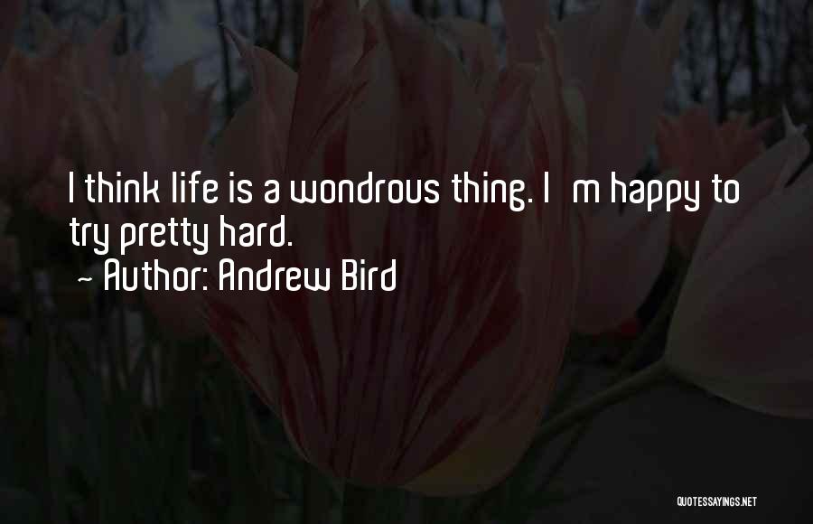 Andrew Bird Quotes: I Think Life Is A Wondrous Thing. I'm Happy To Try Pretty Hard.