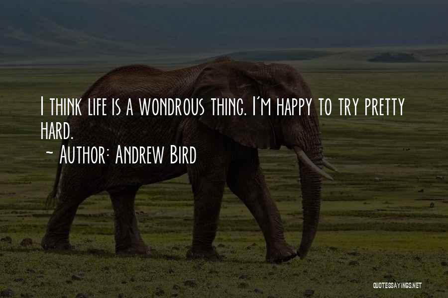 Andrew Bird Quotes: I Think Life Is A Wondrous Thing. I'm Happy To Try Pretty Hard.