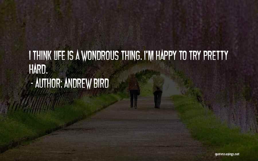 Andrew Bird Quotes: I Think Life Is A Wondrous Thing. I'm Happy To Try Pretty Hard.