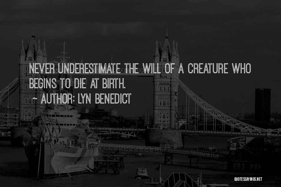 Lyn Benedict Quotes: Never Underestimate The Will Of A Creature Who Begins To Die At Birth.