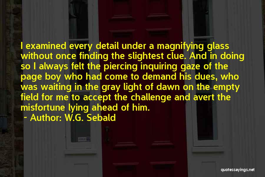 W.G. Sebald Quotes: I Examined Every Detail Under A Magnifying Glass Without Once Finding The Slightest Clue. And In Doing So I Always