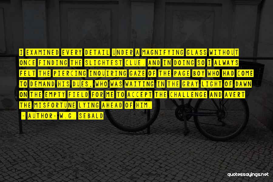 W.G. Sebald Quotes: I Examined Every Detail Under A Magnifying Glass Without Once Finding The Slightest Clue. And In Doing So I Always