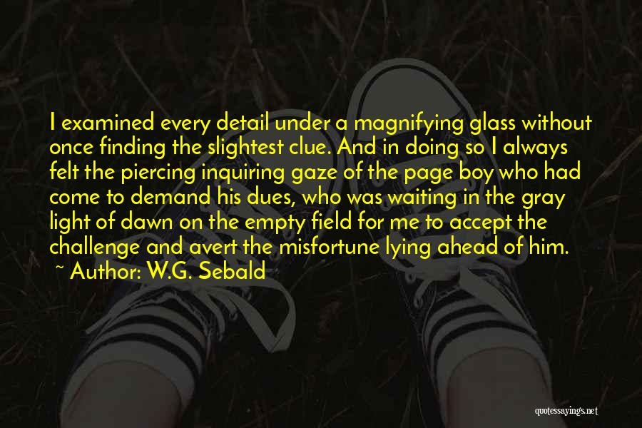 W.G. Sebald Quotes: I Examined Every Detail Under A Magnifying Glass Without Once Finding The Slightest Clue. And In Doing So I Always