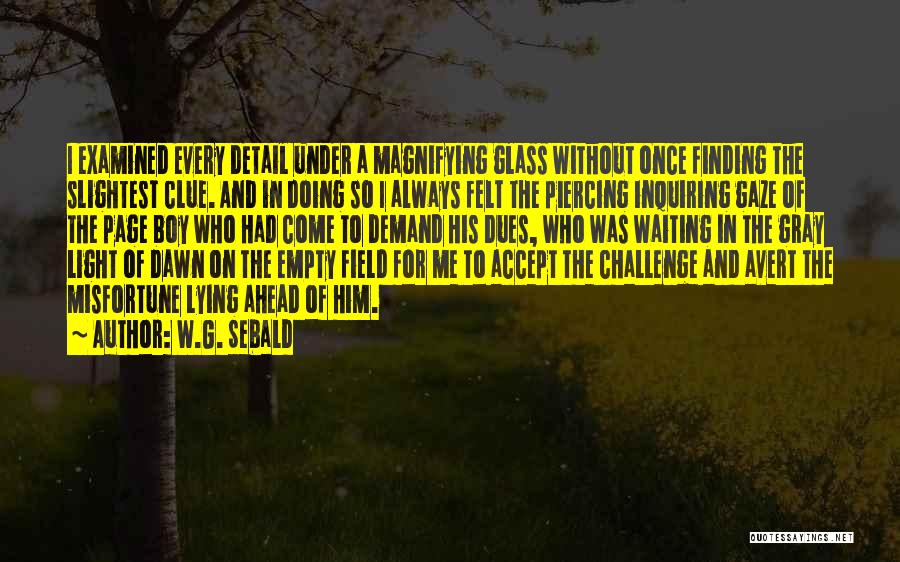 W.G. Sebald Quotes: I Examined Every Detail Under A Magnifying Glass Without Once Finding The Slightest Clue. And In Doing So I Always