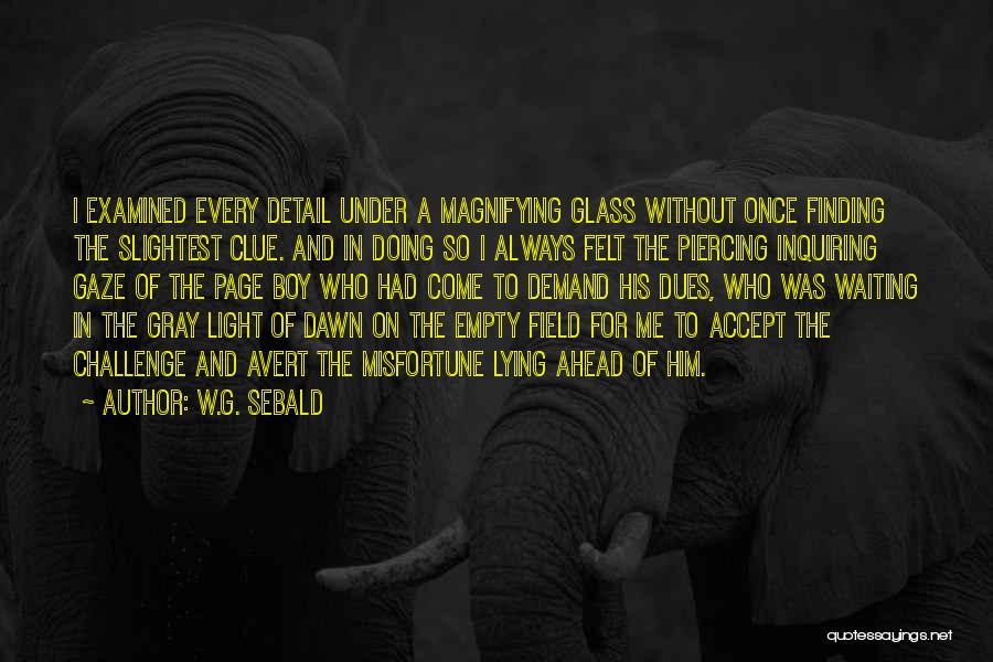 W.G. Sebald Quotes: I Examined Every Detail Under A Magnifying Glass Without Once Finding The Slightest Clue. And In Doing So I Always