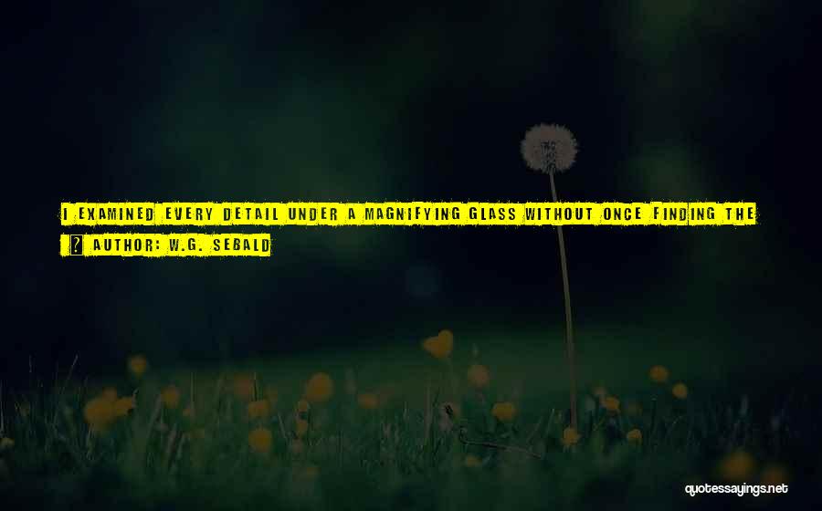 W.G. Sebald Quotes: I Examined Every Detail Under A Magnifying Glass Without Once Finding The Slightest Clue. And In Doing So I Always