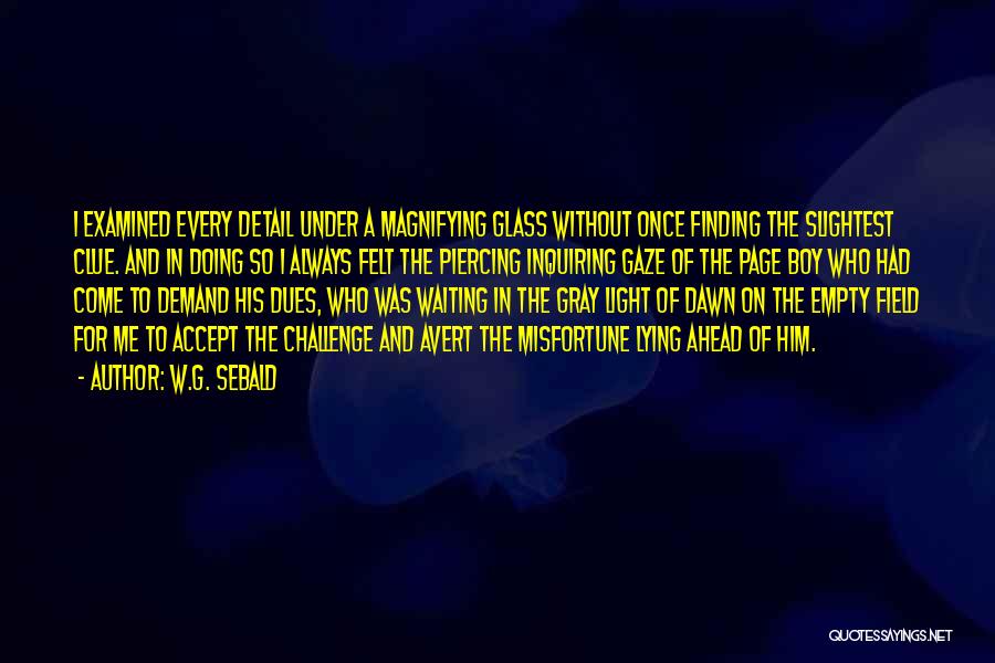 W.G. Sebald Quotes: I Examined Every Detail Under A Magnifying Glass Without Once Finding The Slightest Clue. And In Doing So I Always